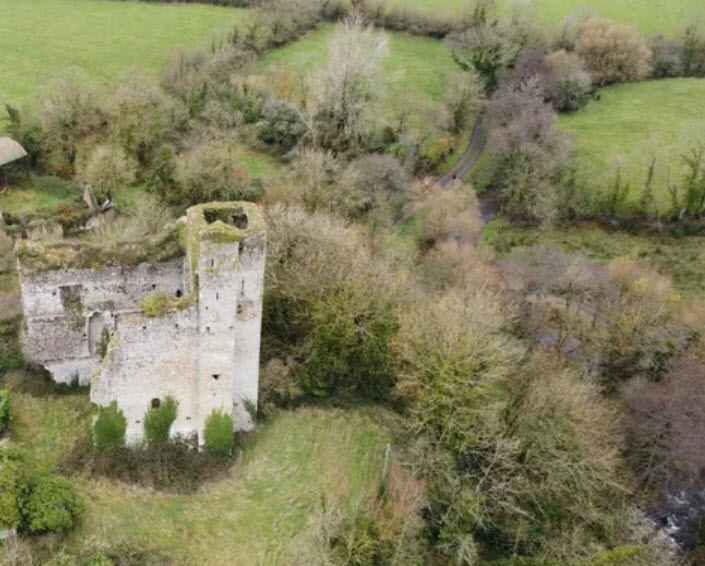 Coonagh Castle, Ireland